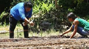 Prefeitura de São Paulo publica catálogo de soluções baseadas na natureza