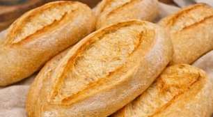 Aprenda a fazer pão francês artesanal com levain