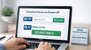 Como recuperar o número do PIS pelo CPF: Passo a passo rápido no celular