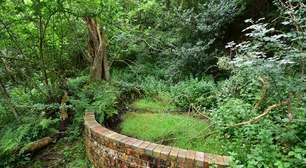 Broxa, o segredo mais fofo do norte da Inglaterra