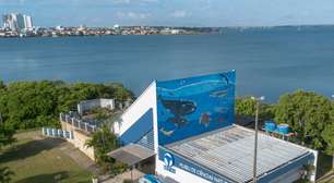 Gratuito: veja a programação desta semana das oficinas do Ceclimar, em Imbé