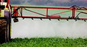 Químico eterno TFA contamina cereais na União Europeia