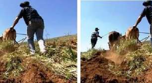 PERIGO! Doença devastadora e pouco conhecida avança no Brasil