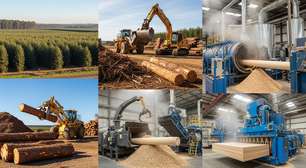 Toneladas de madeira tratada e colada: é assim que surgem os móveis planejados