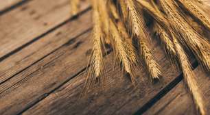 Toneladas de trigo moído por rolos de aço: é assim que nasce a farinha de pão