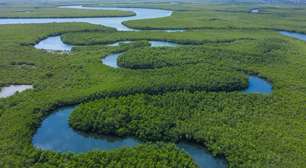 Enclave do Rio Gâmbia: quando a história criou um país à parte