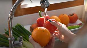 Saiba congelar alimentos da forma correta e ganhe tempo no dia a dia