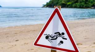 Água-viva: veja como tratar a queimadura e o que não fazer