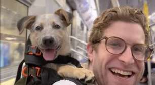 Influenciador passeia com cães de abrigo por Nova York e incentiva doações