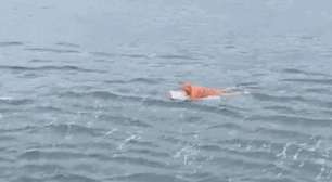 Pescador à deriva em cima de porta da geladeira é resgatado em SC