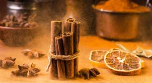 Tenha um mês mais próspero com o ritual da canela