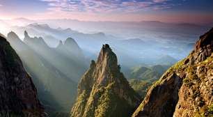 Parque Nacional da Serra dos Órgãos lidera ranking de riqueza de flora no Brasil, aponta pesquisa