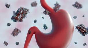 Saiba tudo sobre o hormônio que regula digestão e saciedade