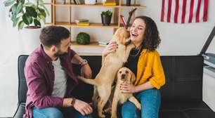 Pesquisa mostra que alguns cães aprendem palavras sem treino direto