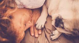 Dormir com seu cão resulta em inúmeros benefícios; veja quais