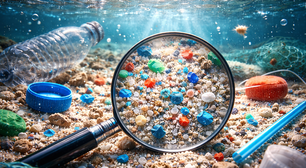 Não tem para onde escapar: quantidades alarmantes de microplásticos foram encontradas na atmosfera, hidrosfera, litosfera e biosfera