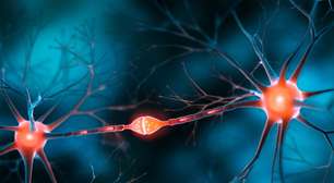 Por que sentimos dor? Estudo genético aponta que nossa sensibilidade à dor pode ter vindo dos neandertais