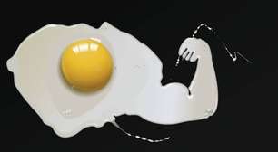 Vantagens do ovo: o segredo de quase todo marombeiro