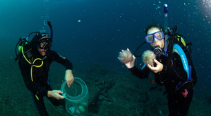 Pesquisa identifica impactos dos plásticos nos ecossistemas costeiros e marinhos do RJ