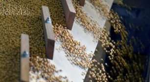 Reforma Tributária É Sancionada; Veja Vetos e Próximos Passos