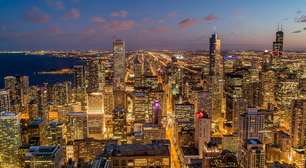 Terrenos baldios viram fazendas de flores em Chicago