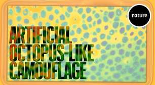 Parece ficção científica, mas é real: Stanford cria pele artificial que muda de forma e cor sozinha