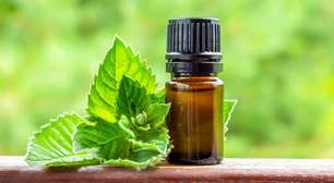 Poder da hortelã: ritual de quarta-feira para abrir caminhos