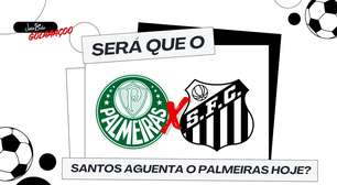 Será que o Santos aguenta o Palmeiras hoje?