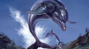 Vários jogos da franquia Ecco the Dolphin estão oficialmente em produção