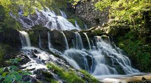 Revigorante! Banho de cachoeira traz benefícios para o corpo e a mente; veja quais