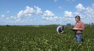 Fertilizante estratégico: por que o Brasil precisa da ureia do Irã