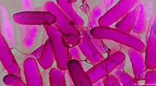 Cervejaria no intestino: doença rara deixa pessoas bêbadas