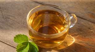 16 plantas para cultivar em casa e fazer chás saudáveis