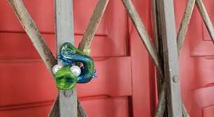 Pra quem não viu: Miniaturas de camaleões viraram "caça urbana" em Vitória