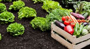 Investimento na agricultura familiar: PPAIS atinge R$ 53,9 milhões em 2025