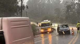 Chuvas em SP: mulher morre após carro ser atingido por árvore; número de mortes chega a 10 no Estado