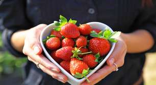 Quais vantagens morango traz para quem come a fruta todos os dias?