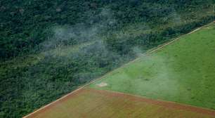 Esvaziamento da Moratória da Soja aumenta pressão para Brasil garantir sustentabilidade