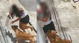 Cachorro da raça pitbull ataca cão na coleira e assusta tutora em São Paulo