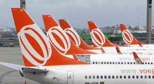 Justiça autoriza coelho de estimação a viajar com a tutora em voo comercial