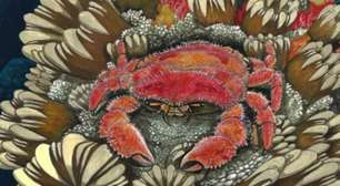 Brasileiros descobrem fóssil de caranguejo de 85 milhões de anos na Antártica