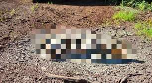 Suspeita de participação em homicídio é presa em Tapejara; corpo da vítima foi carbonizado em Ibiaçá