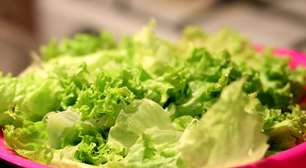 Vai além da nutrição: Alface combate insônia e ajuda na dieta