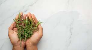 Rituais simples para começar 2026 com a energia renovada