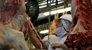 CEO de 19 Anos Capta R$ 4,35 Milhões para Automatizar uma das Tarefas Mais Árduas do Campo