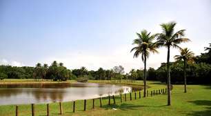 Colônia de Férias leva atividades ambientais gratuitas a parques do Rio em janeiro