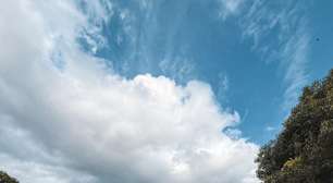 Símbolo de Esperança: Ulbra Canoas abre visitação ao Cavalo Caramelo