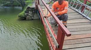 Ponte de madeira do Parque Centenário, em Mogi, é interditada para reforma