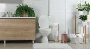 Plantas para banheiro: 10 opções que sobrevivem bem
