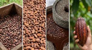 São necessárias 400 sementes de cacau torradas para fazer 500g de chocolate: é assim que o fruto amargo vira uma barra doce